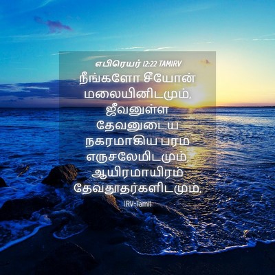 Picture 04 - எபிரெயர் 12:22 TAMIRV - நீங்களோ சீயோன் - Bible Verse Picture