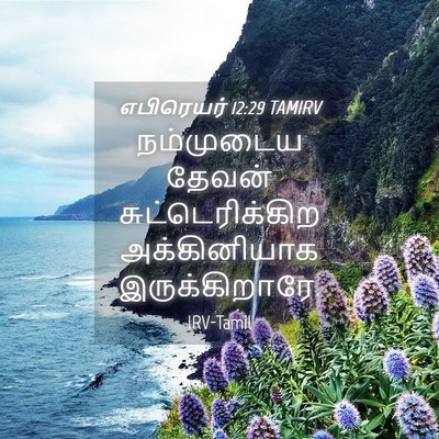 Picture 04 - எபிரெயர் 12:29 TAMIRV - நம்முடைய தேவன் - Bible Verse Picture