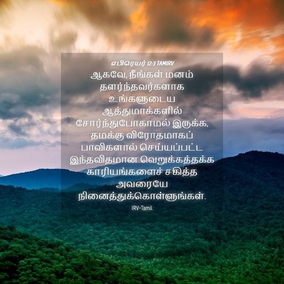 Picture 04 - எபிரெயர் 12:3 TAMIRV - ஆகவே, நீங்கள் மனம் - Bible Verse Picture