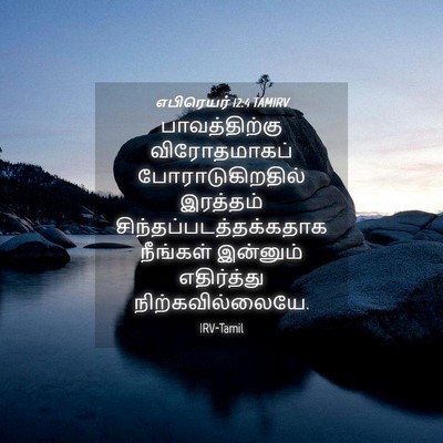 Picture 04 - எபிரெயர் 12:4 TAMIRV - பாவத்திற்கு - Bible Verse Picture