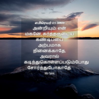 Picture 04 - எபிரெயர் 12:5 TAMIRV - அன்றியும்: என் - Bible Verse Picture