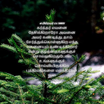 Picture 04 - எபிரெயர் 12:6 TAMIRV - கர்த்தர் எவனை - Bible Verse Picture