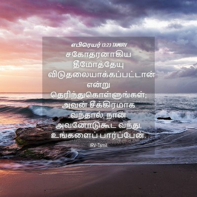 Picture 04 - எபிரெயர் 13:23 TAMIRV - சகோதரனாகிய - Bible Verse Picture