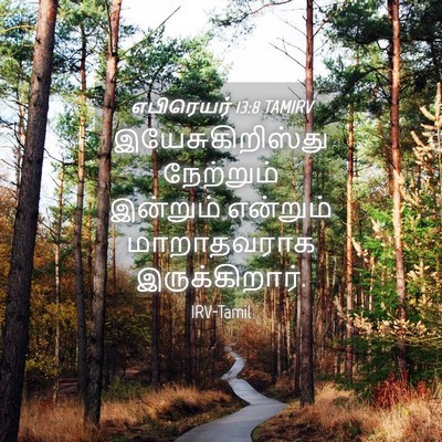 Picture 04 - எபிரெயர் 13:8 TAMIRV - இயேசுகிறிஸ்து - Bible Verse Picture