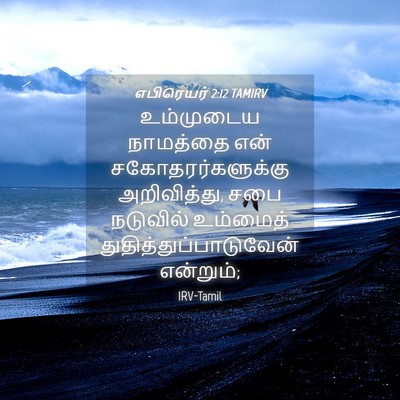 Picture 04 - எபிரெயர் 2:12 TAMIRV - உம்முடைய நாமத்தை - Bible Verse Picture
