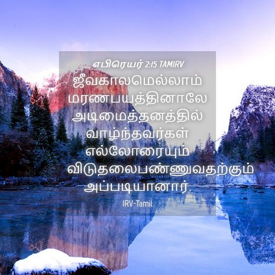 Picture 04 - எபிரெயர் 2:15 TAMIRV - ஜீவகாலமெல்லாம் - Bible Verse Picture