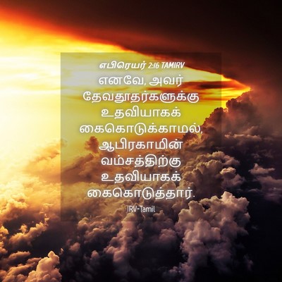 Picture 04 - எபிரெயர் 2:16 TAMIRV - எனவே, அவர் - Bible Verse Picture
