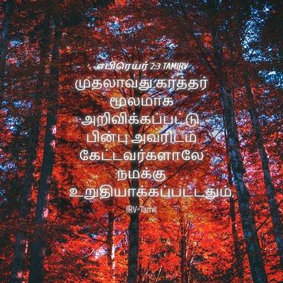 Picture 04 - எபிரெயர் 2:3 TAMIRV - முதலாவது கர்த்தர் - Bible Verse Picture