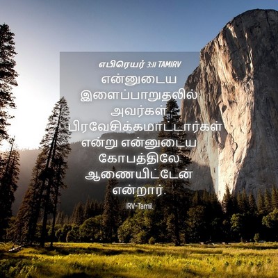 Picture 04 - எபிரெயர் 3:11 TAMIRV - என்னுடைய - Bible Verse Picture