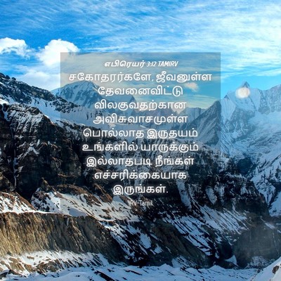 Picture 04 - எபிரெயர் 3:12 TAMIRV - சகோதரர்களே, - Bible Verse Picture