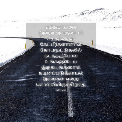 Picture 04 - எபிரெயர் 3:15 TAMIRV - இன்று அவருடைய - Bible Verse Picture