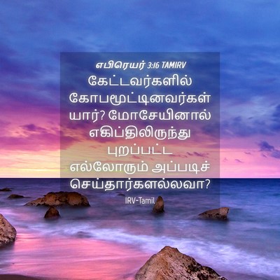 Picture 04 - எபிரெயர் 3:16 TAMIRV - கேட்டவர்களில் - Bible Verse Picture