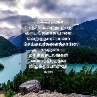 Picture 04 - எபிரெயர் 3:17 TAMIRV - மேலும், அவர் - Bible Verse Picture