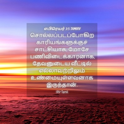 Picture 04 - எபிரெயர் 3:5 TAMIRV - சொல்லப்படப்போகிற - Bible Verse Picture