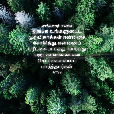 Picture 04 - எபிரெயர் 3:9 TAMIRV - அங்கே உங்களுடைய - Bible Verse Picture
