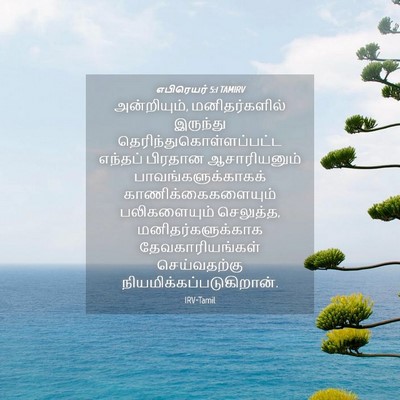 Picture 04 - எபிரெயர் 5:1 TAMIRV - அன்றியும், - Bible Verse Picture