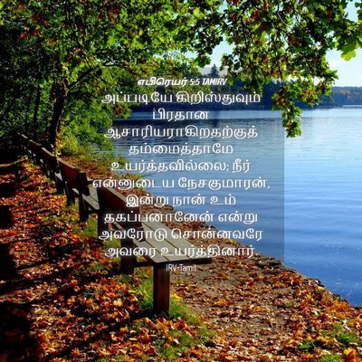 Picture 04 - எபிரெயர் 5:5 TAMIRV - அப்படியே - Bible Verse Picture