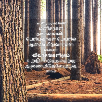 Picture 04 - எபிரெயர் 6:16 TAMIRV - மனிதர்கள் - Bible Verse Picture