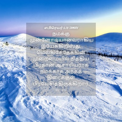 Picture 04 - எபிரெயர் 6:20 TAMIRV - நமக்கு - Bible Verse Picture