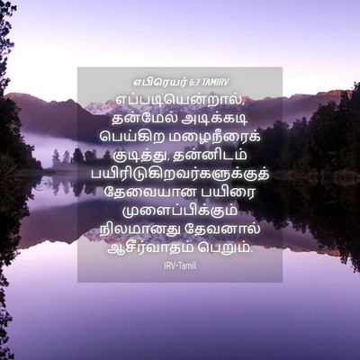 Picture 04 - எபிரெயர் 6:7 TAMIRV - எப்படியென்றால், - Bible Verse Picture
