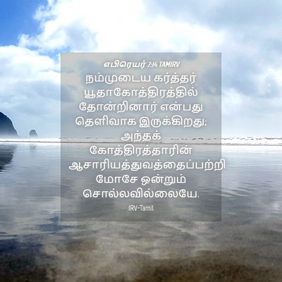 Picture 04 - எபிரெயர் 7:14 TAMIRV - நம்முடைய கர்த்தர் - Bible Verse Picture