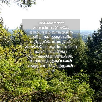 Picture 04 - எபிரெயர் 7:8 TAMIRV - அன்றியும், இங்கே, - Bible Verse Picture
