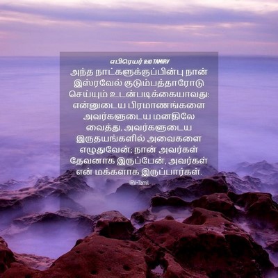 Picture 04 - எபிரெயர் 8:10 TAMIRV - அந்த - Bible Verse Picture