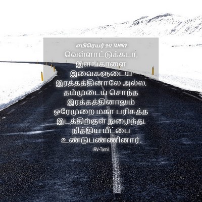Picture 04 - எபிரெயர் 9:12 TAMIRV - வெள்ளாட்டுக்கடா, - Bible Verse Picture