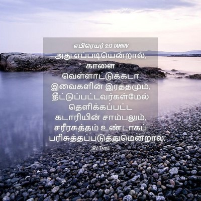 Picture 04 - எபிரெயர் 9:13 TAMIRV - அது - Bible Verse Picture