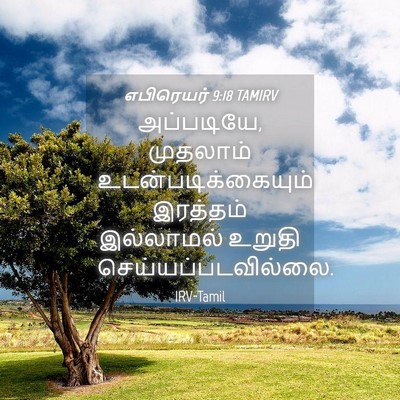 Picture 04 - எபிரெயர் 9:18 TAMIRV - அப்படியே, முதலாம் - Bible Verse Picture