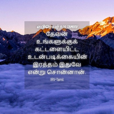Picture 04 - எபிரெயர் 9:20 TAMIRV - தேவன் - Bible Verse Picture