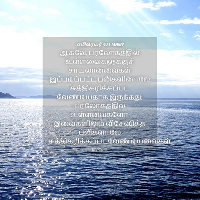 Picture 04 - எபிரெயர் 9:23 TAMIRV - ஆகவே, பரலோகத்தில் - Bible Verse Picture