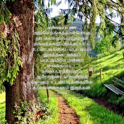 Picture 04 - எபிரெயர் 9:4 TAMIRV - அதிலே தங்கத்தால் - Bible Verse Picture