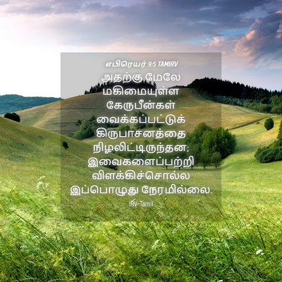 Picture 04 - எபிரெயர் 9:5 TAMIRV - அதற்கு மேலே - Bible Verse Picture