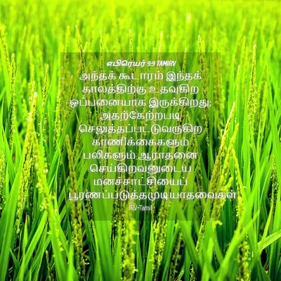 Picture 04 - எபிரெயர் 9:9 TAMIRV - அந்தக் கூடாரம் - Bible Verse Picture