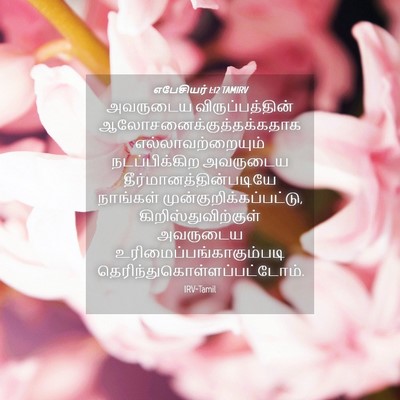 Picture 04 - எபேசியர் 1:12 TAMIRV - அவருடைய - Bible Verse Picture