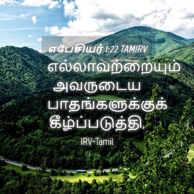Picture 04 - எபேசியர் 1:22 TAMIRV - எல்லாவற்றையும் - Bible Verse Picture
