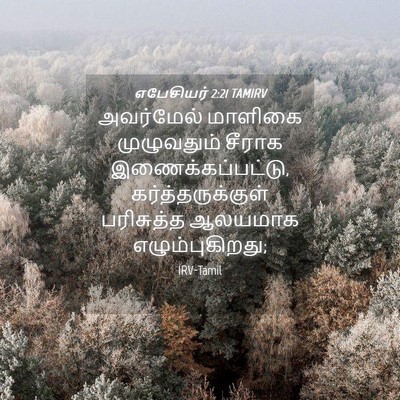 Picture 04 - எபேசியர் 2:21 TAMIRV - அவர்மேல் மாளிகை - Bible Verse Picture