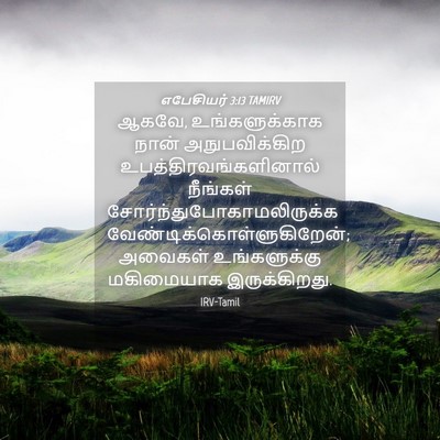 Picture 04 - எபேசியர் 3:13 TAMIRV - ஆகவே, உங்களுக்காக - Bible Verse Picture