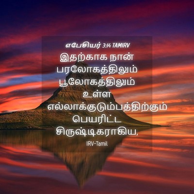 Picture 04 - எபேசியர் 3:14 TAMIRV - இதற்காக நான் - Bible Verse Picture
