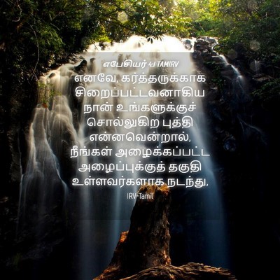 Picture 04 - எபேசியர் 4:1 TAMIRV - எனவே, - Bible Verse Picture