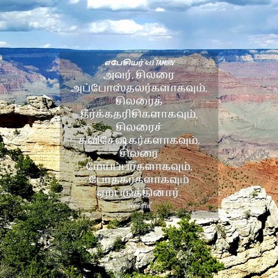 Picture 04 - எபேசியர் 4:13 TAMIRV - அவர், சிலரை - Bible Verse Picture