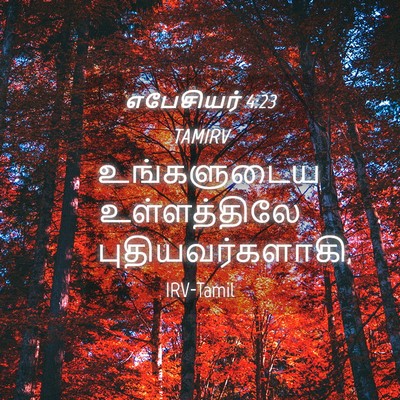 Picture 04 - எபேசியர் 4:23 TAMIRV - உங்களுடைய - Bible Verse Picture