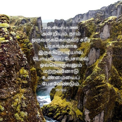 Picture 04 - எபேசியர் 4:25 TAMIRV - அன்றியும், நாம் - Bible Verse Picture