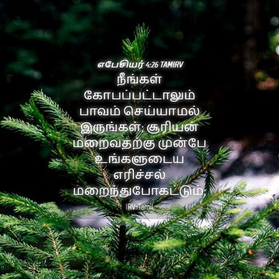Picture 04 - எபேசியர் 4:26 TAMIRV - நீங்கள் - Bible Verse Picture