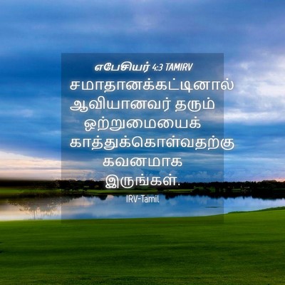 Picture 04 - எபேசியர் 4:3 TAMIRV -  - Bible Verse Picture