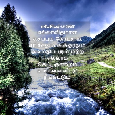 Picture 04 - எபேசியர் 4:31 TAMIRV - எல்லாவிதமான - Bible Verse Picture