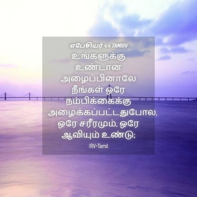 Picture 04 - எபேசியர் 4:4 TAMIRV - உங்களுக்கு உண்டான - Bible Verse Picture