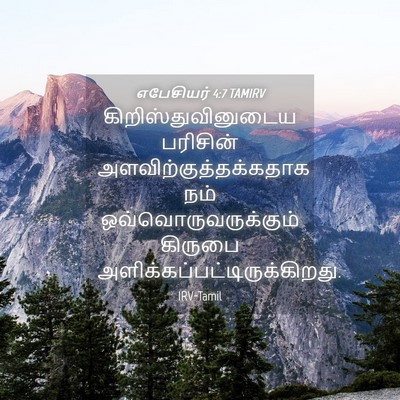 Picture 04 - எபேசியர் 4:7 TAMIRV - கிறிஸ்துவினுடைய - Bible Verse Picture