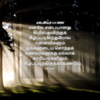 Picture 04 - எபேசியர் 5:24 TAMIRV - எனவே, சபையானது - Bible Verse Picture